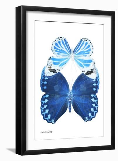 Miss Butterfly Duo Stichatura II - X-Ray White Edition-Philippe Hugonnard-Framed Photographic Print