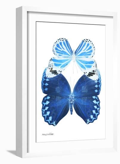 Miss Butterfly Duo Stichatura II - X-Ray White Edition-Philippe Hugonnard-Framed Photographic Print