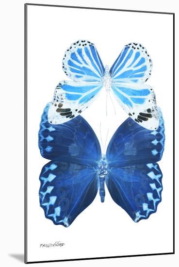 Miss Butterfly Duo Stichatura II - X-Ray White Edition-Philippe Hugonnard-Mounted Photographic Print