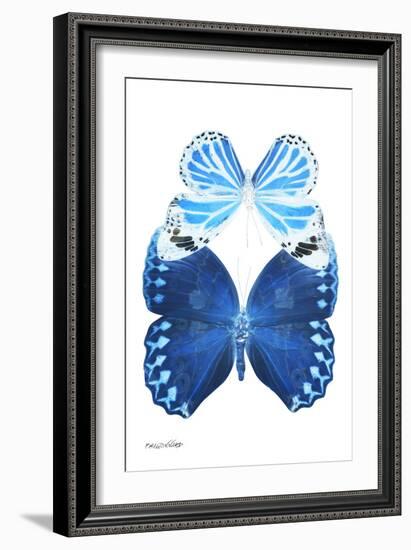 Miss Butterfly Duo Stichatura II - X-Ray White Edition-Philippe Hugonnard-Framed Photographic Print