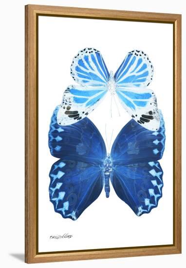 Miss Butterfly Duo Stichatura II - X-Ray White Edition-Philippe Hugonnard-Framed Premier Image Canvas