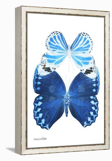 Miss Butterfly Duo Stichatura II - X-Ray White Edition-Philippe Hugonnard-Framed Premier Image Canvas