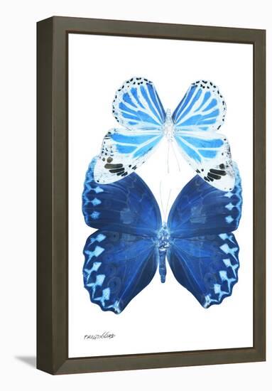 Miss Butterfly Duo Stichatura II - X-Ray White Edition-Philippe Hugonnard-Framed Premier Image Canvas