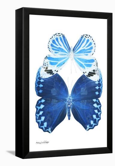 Miss Butterfly Duo Stichatura II - X-Ray White Edition-Philippe Hugonnard-Framed Premier Image Canvas