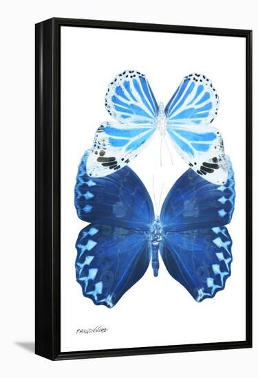 Miss Butterfly Duo Stichatura II - X-Ray White Edition-Philippe Hugonnard-Framed Premier Image Canvas