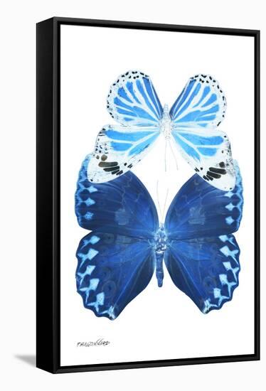 Miss Butterfly Duo Stichatura II - X-Ray White Edition-Philippe Hugonnard-Framed Premier Image Canvas