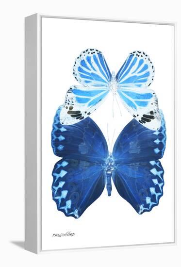 Miss Butterfly Duo Stichatura II - X-Ray White Edition-Philippe Hugonnard-Framed Premier Image Canvas