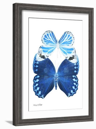 Miss Butterfly Duo Stichatura II - X-Ray White Edition-Philippe Hugonnard-Framed Premium Photographic Print