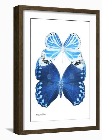 Miss Butterfly Duo Stichatura II - X-Ray White Edition-Philippe Hugonnard-Framed Premium Photographic Print