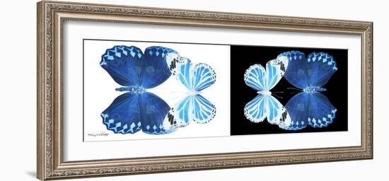 Miss Butterfly Duo Stichatura Pan - X-Ray B&W Edition-Philippe Hugonnard-Framed Photographic Print