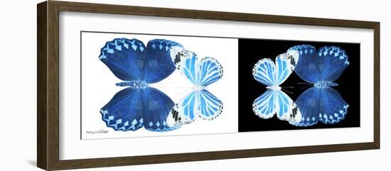 Miss Butterfly Duo Stichatura Pan - X-Ray B&W Edition-Philippe Hugonnard-Framed Photographic Print