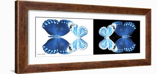 Miss Butterfly Duo Stichatura Pan - X-Ray B&W Edition-Philippe Hugonnard-Framed Photographic Print