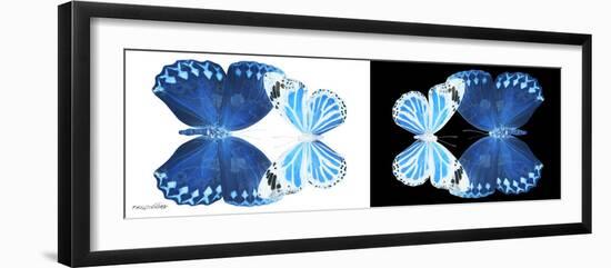 Miss Butterfly Duo Stichatura Pan - X-Ray B&W Edition-Philippe Hugonnard-Framed Photographic Print