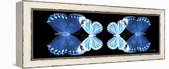 Miss Butterfly Duo Stichatura Pan - X-Ray Black Edition II-Philippe Hugonnard-Framed Premier Image Canvas