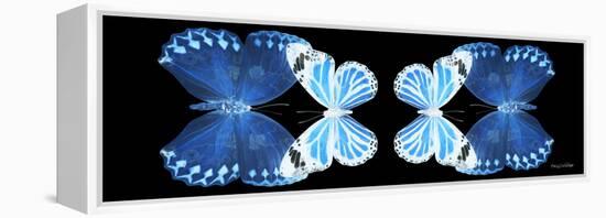 Miss Butterfly Duo Stichatura Pan - X-Ray Black Edition II-Philippe Hugonnard-Framed Premier Image Canvas