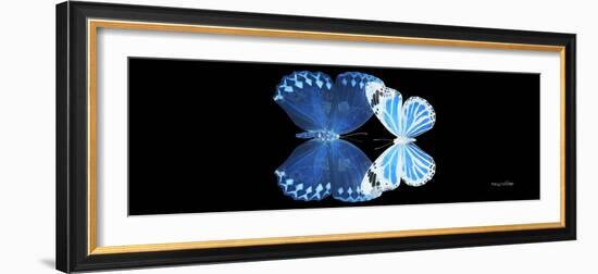 Miss Butterfly Duo Stichatura Pan - X-Ray Black Edition-Philippe Hugonnard-Framed Photographic Print