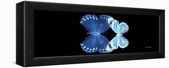 Miss Butterfly Duo Stichatura Pan - X-Ray Black Edition-Philippe Hugonnard-Framed Premier Image Canvas