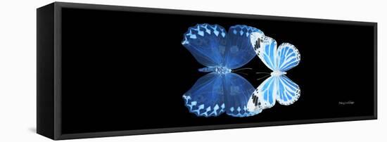 Miss Butterfly Duo Stichatura Pan - X-Ray Black Edition-Philippe Hugonnard-Framed Premier Image Canvas