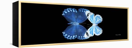 Miss Butterfly Duo Stichatura Pan - X-Ray Black Edition-Philippe Hugonnard-Framed Premier Image Canvas