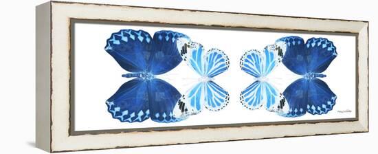 Miss Butterfly Duo Stichatura Pan - X-Ray White Edition II-Philippe Hugonnard-Framed Premier Image Canvas