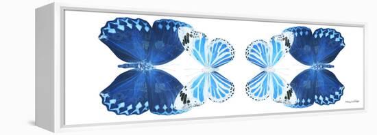 Miss Butterfly Duo Stichatura Pan - X-Ray White Edition II-Philippe Hugonnard-Framed Premier Image Canvas