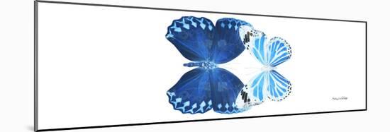 Miss Butterfly Duo Stichatura Pan - X-Ray White Edition-Philippe Hugonnard-Mounted Photographic Print