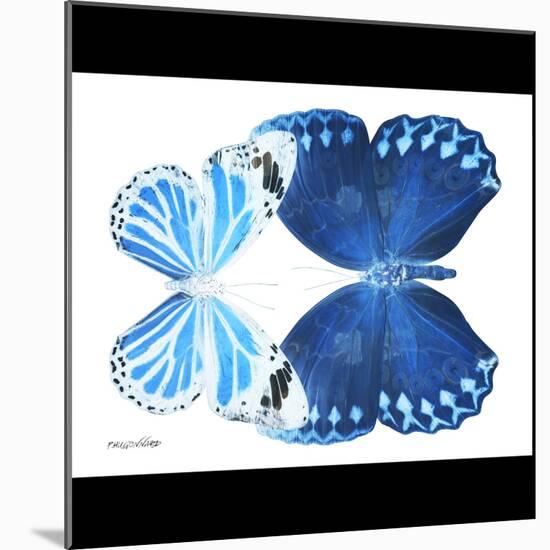 Miss Butterfly Duo Stichatura Sq - X-Ray B&W Edition-Philippe Hugonnard-Mounted Photographic Print