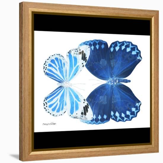 Miss Butterfly Duo Stichatura Sq - X-Ray B&W Edition-Philippe Hugonnard-Framed Stretched Canvas