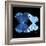 Miss Butterfly Duo Stichatura Sq - X-Ray Black Edition-Philippe Hugonnard-Framed Photographic Print