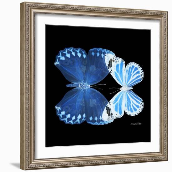 Miss Butterfly Duo Stichatura Sq - X-Ray Black Edition-Philippe Hugonnard-Framed Photographic Print