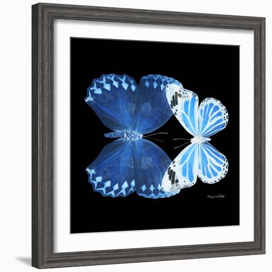 Miss Butterfly Duo Stichatura Sq - X-Ray Black Edition-Philippe Hugonnard-Framed Photographic Print