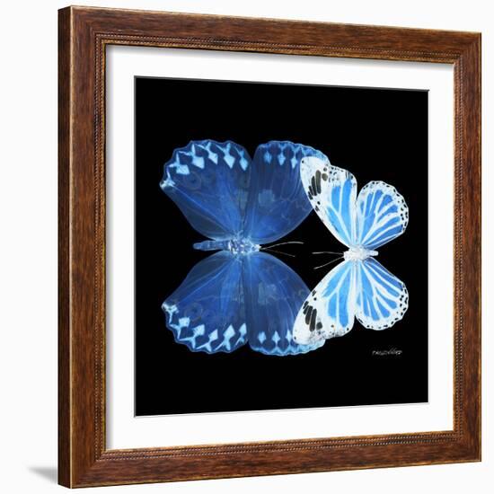 Miss Butterfly Duo Stichatura Sq - X-Ray Black Edition-Philippe Hugonnard-Framed Photographic Print