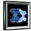 Miss Butterfly Duo Stichatura Sq - X-Ray Black Edition-Philippe Hugonnard-Framed Photographic Print