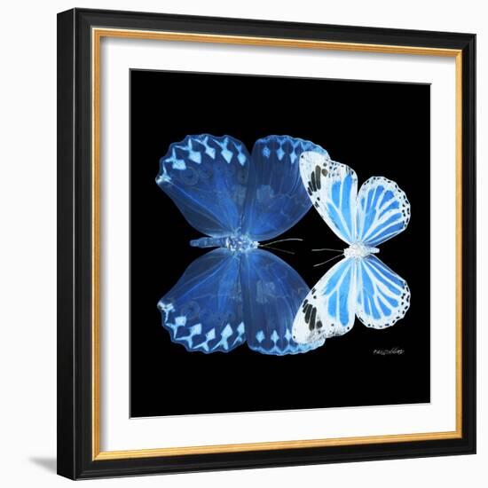 Miss Butterfly Duo Stichatura Sq - X-Ray Black Edition-Philippe Hugonnard-Framed Photographic Print