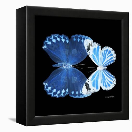 Miss Butterfly Duo Stichatura Sq - X-Ray Black Edition-Philippe Hugonnard-Framed Stretched Canvas