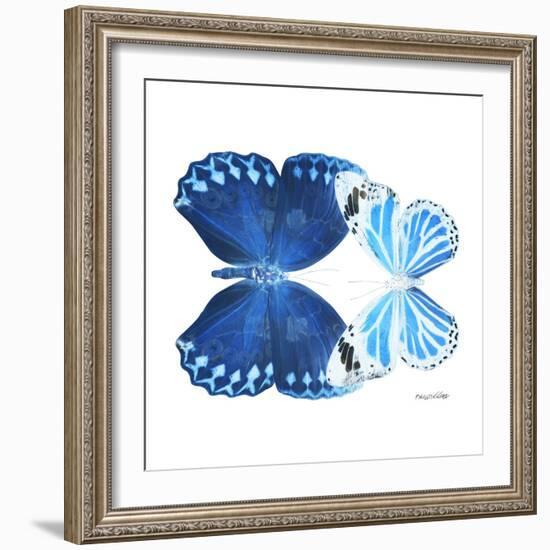 Miss Butterfly Duo Stichatura Sq - X-Ray White Edition-Philippe Hugonnard-Framed Photographic Print