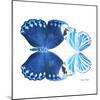 Miss Butterfly Duo Stichatura Sq - X-Ray White Edition-Philippe Hugonnard-Mounted Photographic Print