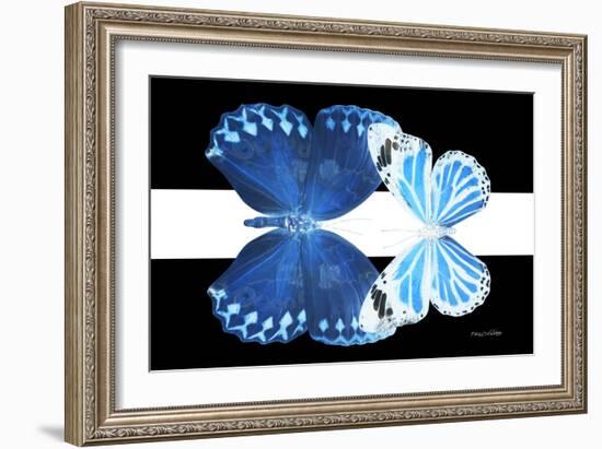 Miss Butterfly Duo Stichatura - X-Ray B&W Edition II-Philippe Hugonnard-Framed Photographic Print