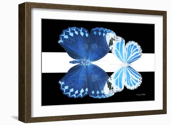 Miss Butterfly Duo Stichatura - X-Ray B&W Edition II-Philippe Hugonnard-Framed Photographic Print