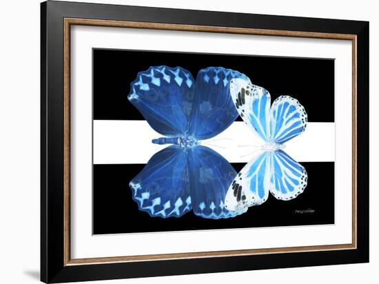 Miss Butterfly Duo Stichatura - X-Ray B&W Edition II-Philippe Hugonnard-Framed Photographic Print