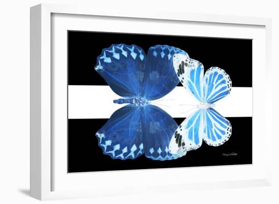 Miss Butterfly Duo Stichatura - X-Ray B&W Edition II-Philippe Hugonnard-Framed Photographic Print