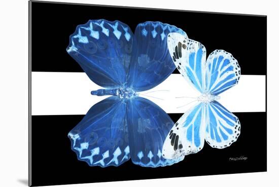 Miss Butterfly Duo Stichatura - X-Ray B&W Edition II-Philippe Hugonnard-Mounted Photographic Print