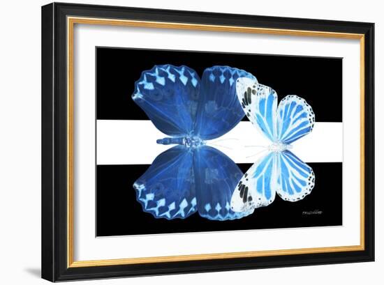 Miss Butterfly Duo Stichatura - X-Ray B&W Edition II-Philippe Hugonnard-Framed Photographic Print