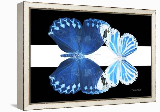 Miss Butterfly Duo Stichatura - X-Ray B&W Edition II-Philippe Hugonnard-Framed Premier Image Canvas