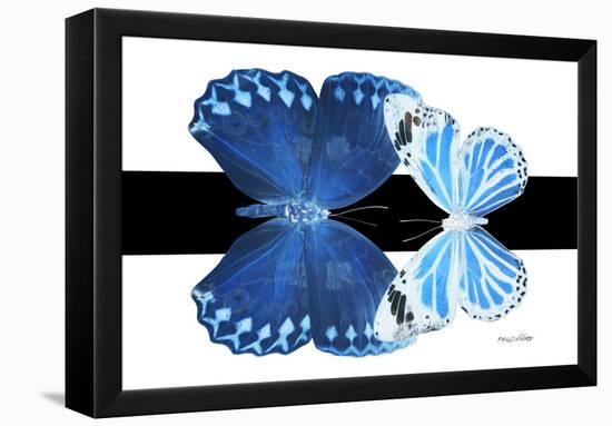 Miss Butterfly Duo Stichatura - X-Ray B&W Edition-Philippe Hugonnard-Framed Premier Image Canvas