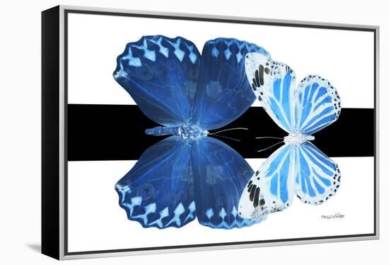 Miss Butterfly Duo Stichatura - X-Ray B&W Edition-Philippe Hugonnard-Framed Premier Image Canvas