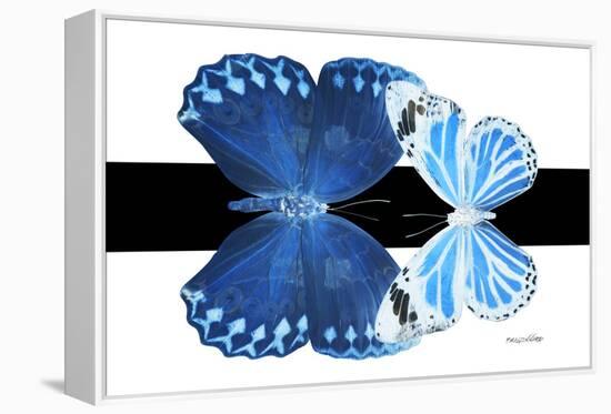 Miss Butterfly Duo Stichatura - X-Ray B&W Edition-Philippe Hugonnard-Framed Premier Image Canvas