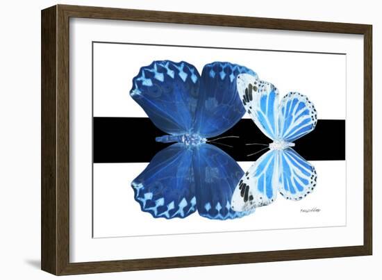 Miss Butterfly Duo Stichatura - X-Ray B&W Edition-Philippe Hugonnard-Framed Photographic Print