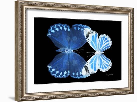 Miss Butterfly Duo Stichatura - X-Ray Black Edition-Philippe Hugonnard-Framed Photographic Print