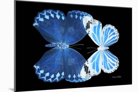 Miss Butterfly Duo Stichatura - X-Ray Black Edition-Philippe Hugonnard-Mounted Photographic Print